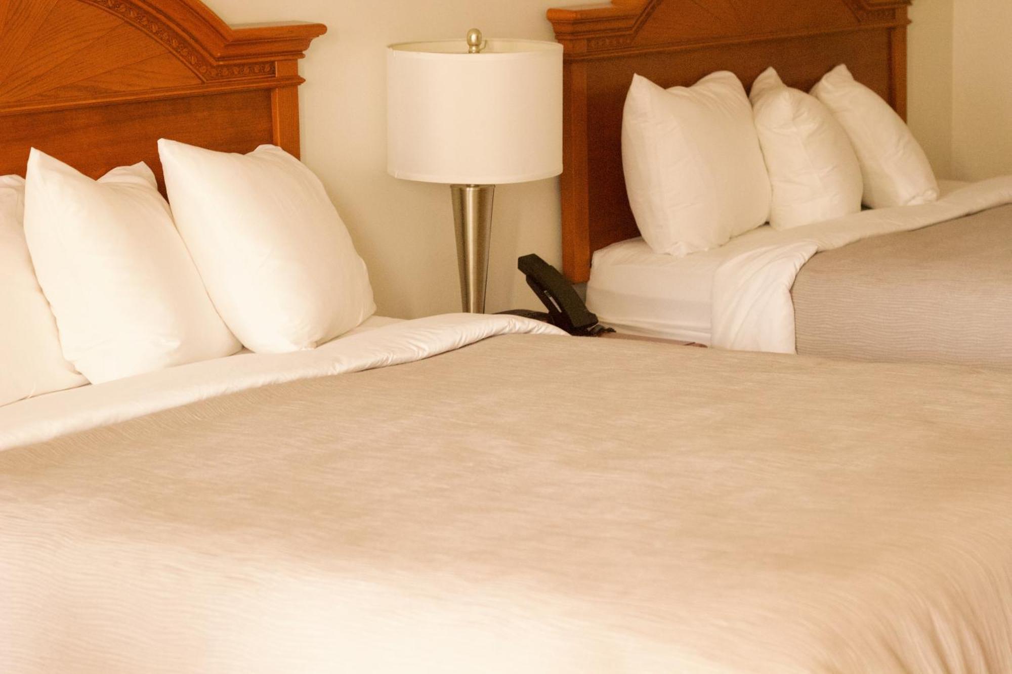 Quality Inn Near Chattanooga South Ringgold Zewnętrze zdjęcie