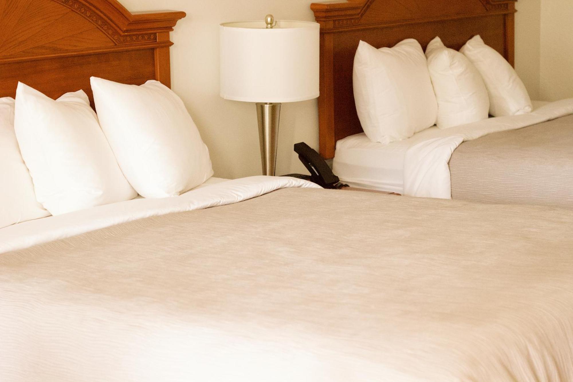 Quality Inn Near Chattanooga South Ringgold Zewnętrze zdjęcie